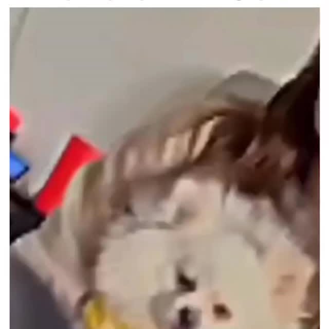  .......lbreakup   'recent posts' 