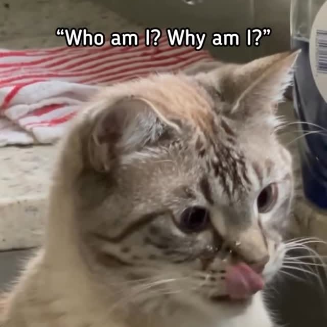  ...........irtonguesout   'recent posts' 