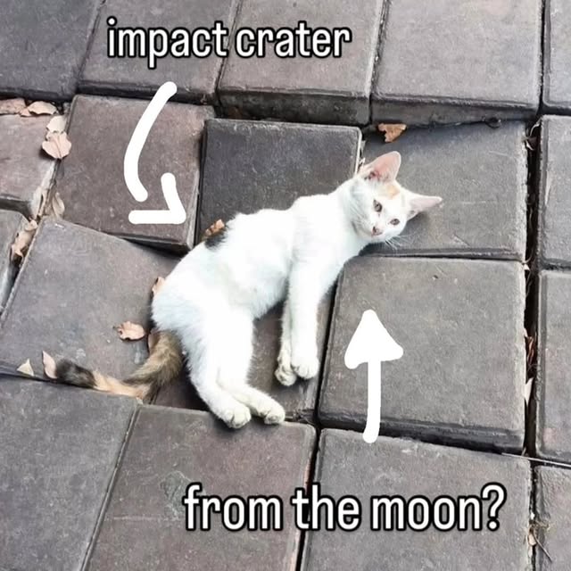  ......nd.kits   'recent posts' 