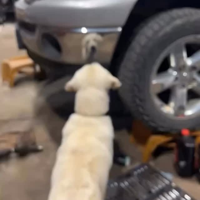  ......estige   'recent posts' 