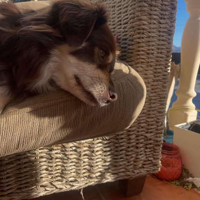  .....og2020   'recent posts' 