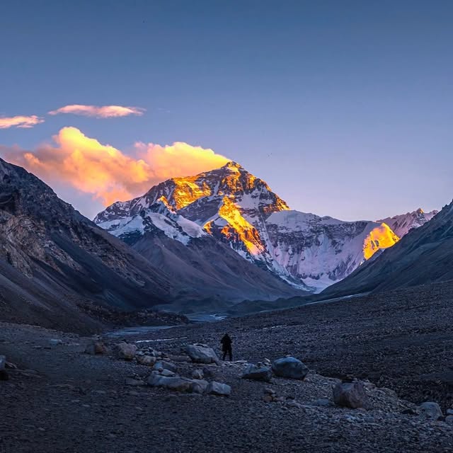  ..........stofficial   'recent posts' 