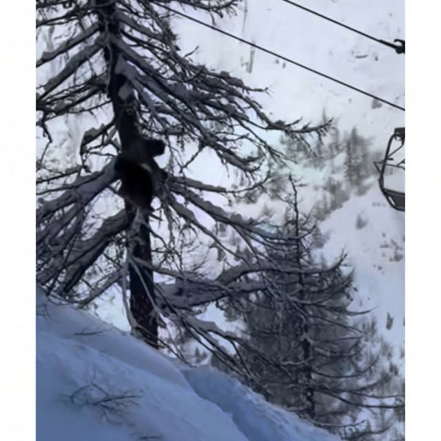  ....ed.d   'recent posts' 