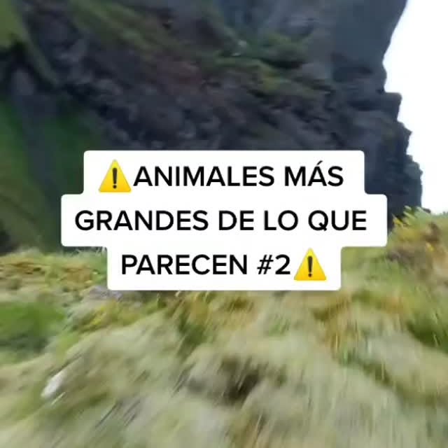  .......terioso   'recent posts' 