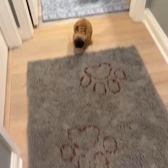  ..........ldogs_only   'recent posts' 