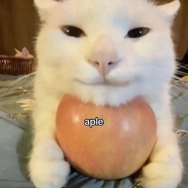  .....attos   'recent posts' 