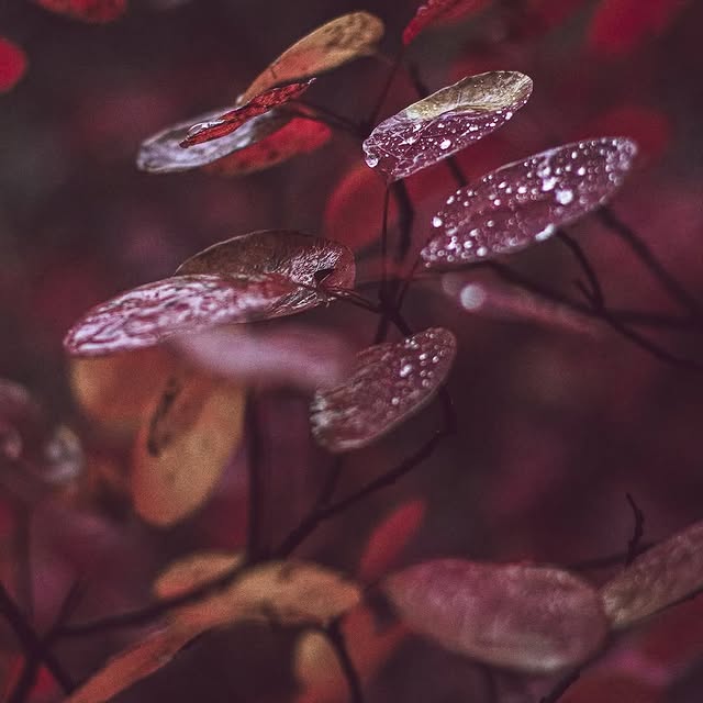  .......utevibes   'recent posts' 