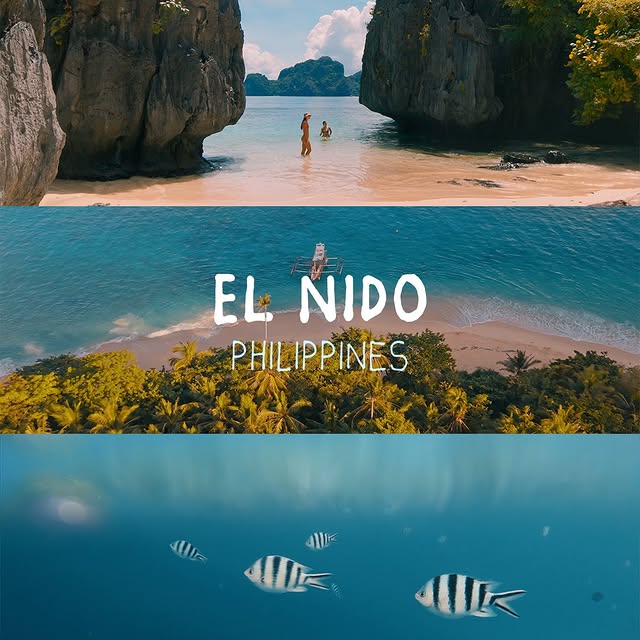  .....horpe   'recent posts' 