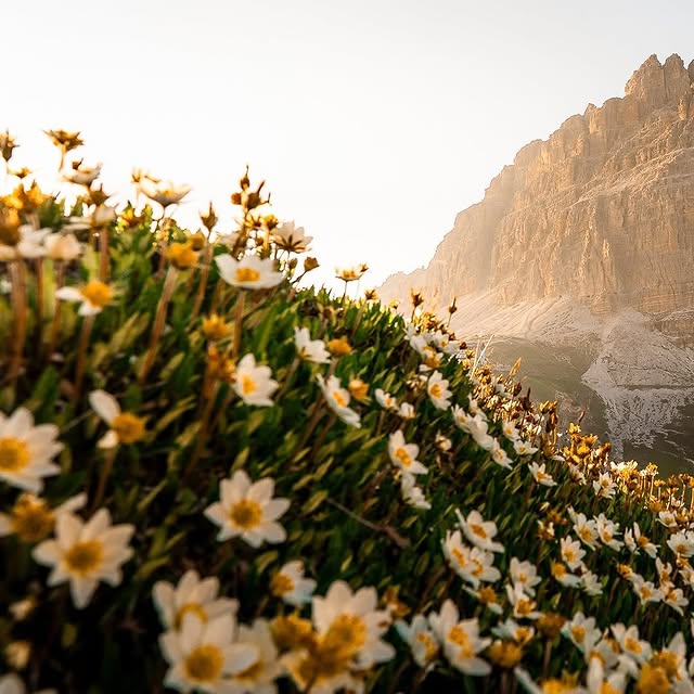  .......utevibes   'recent posts' 