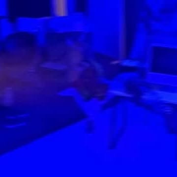  .......ingates   'recent posts' 