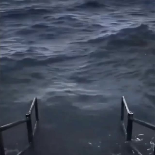  .....meme_s   'recent posts' 