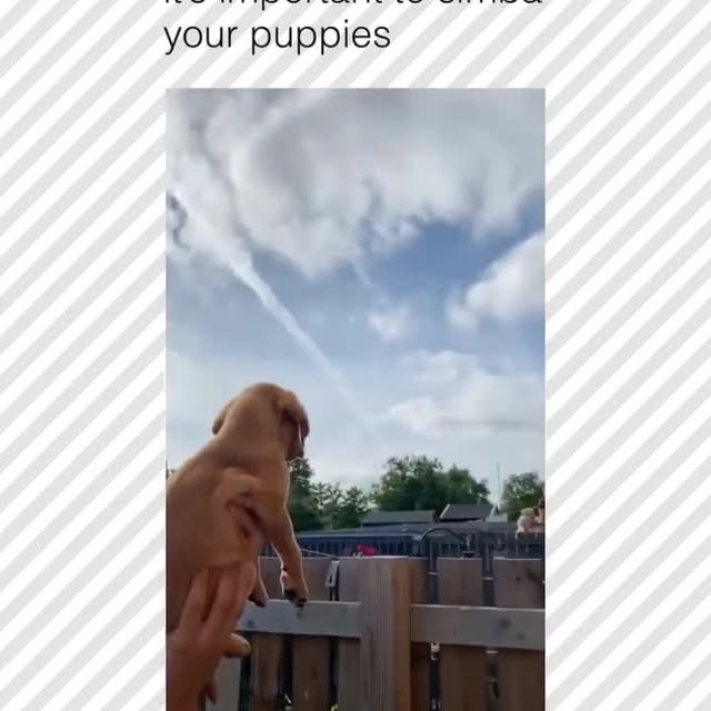  ......rposts   'recent posts' 