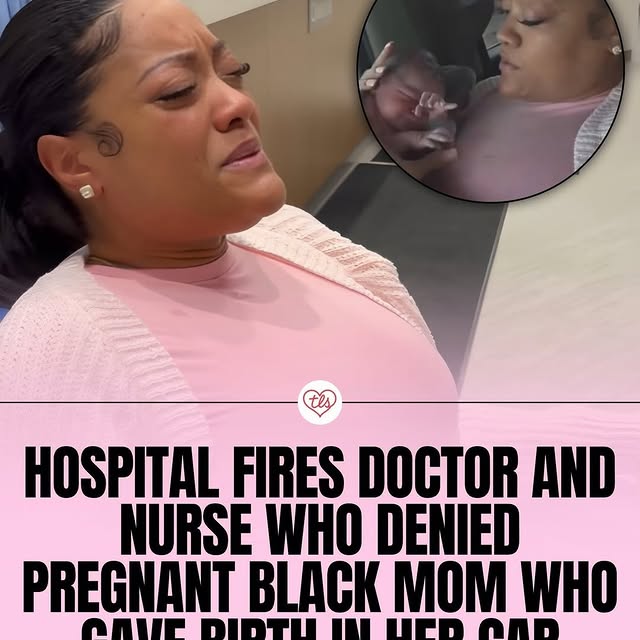  .....vid.s   'recent posts' 