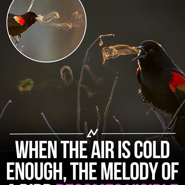  ......sfervor   'recent posts' 