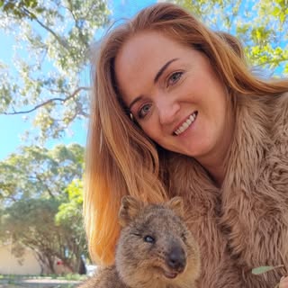 Hire .......layover influencer with 11k