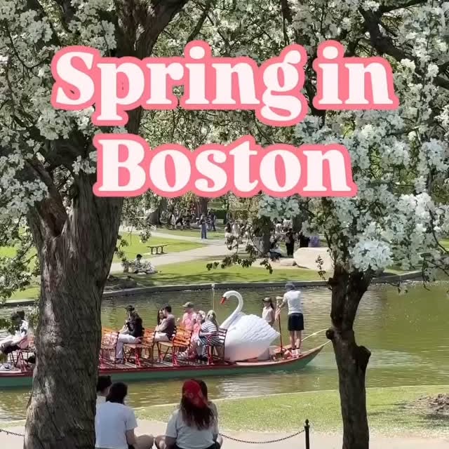  .........bostonian   'recent posts' 