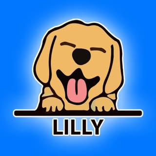 Hire ..........n.retriever influencer with 151.5k