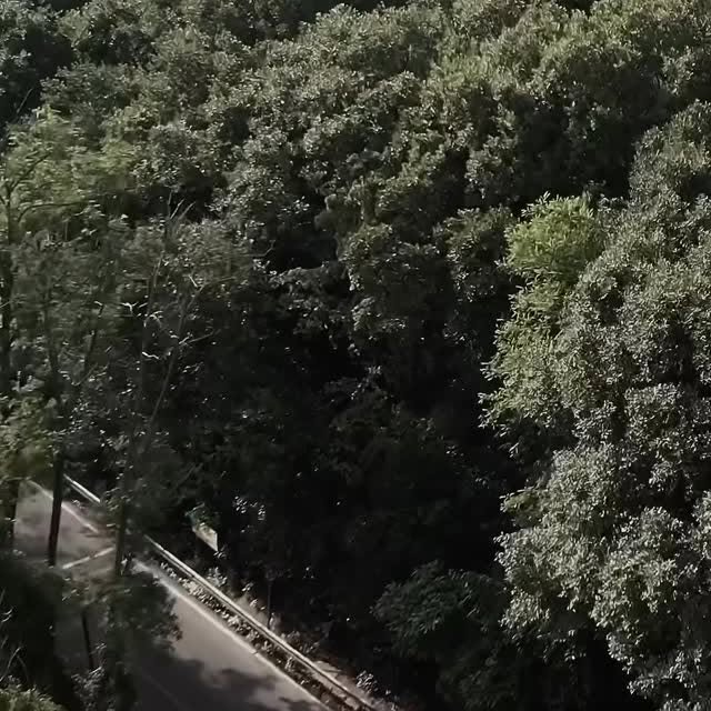  .........er_indian   'recent posts' 