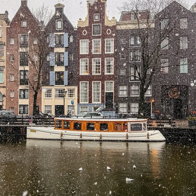  .......amworld   'recent posts' 