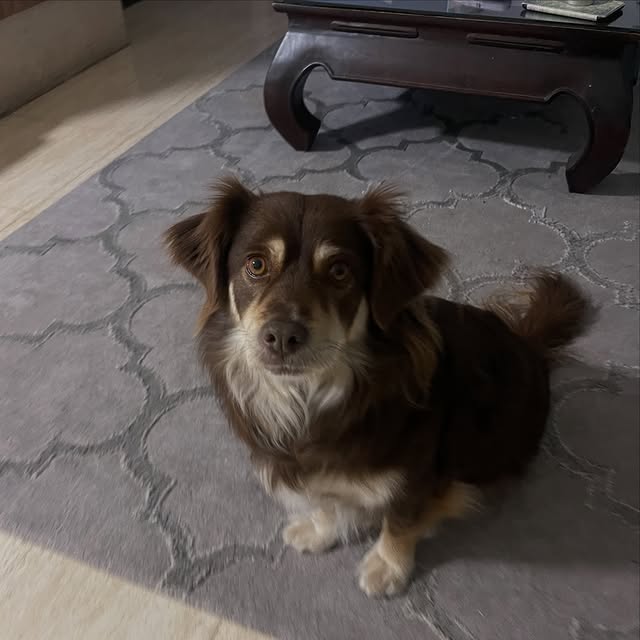  .....og2020   'recent posts' 