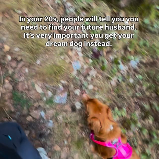  ......atoller   'recent posts' 