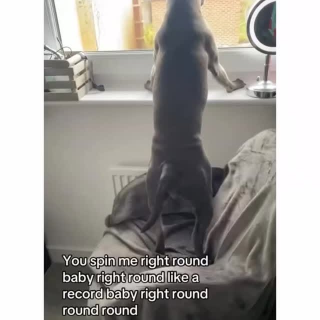  ......ogscute   'recent posts' 