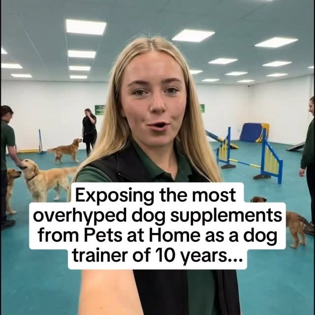  ..........n.retriever   'recent posts' 