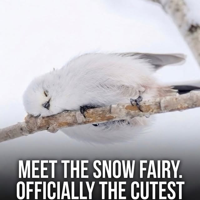  ......sfever   'recent posts' 