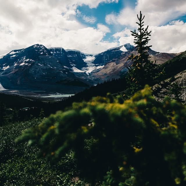  .......dventure   'recent posts' 