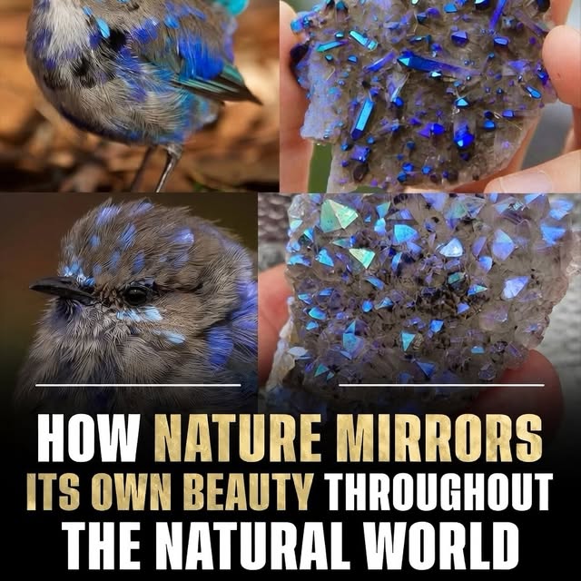  .......refervor   'recent posts' 