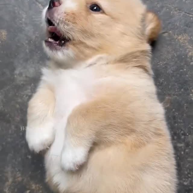  ......s.club   'recent posts' 