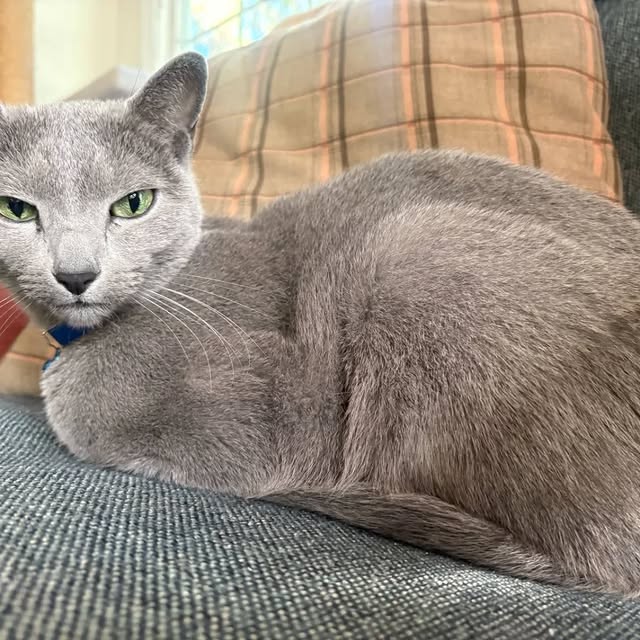  ......n_boris   'recent posts' 