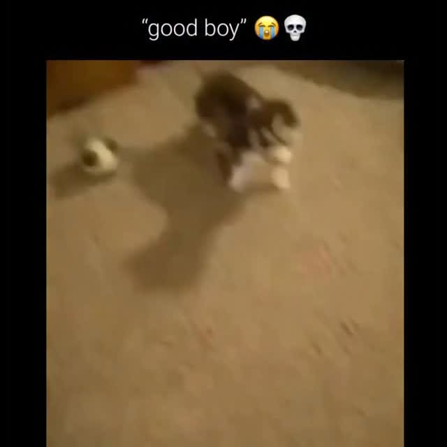  ....umor   'recent posts' 