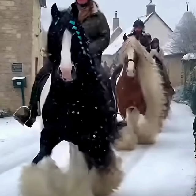  ......spirit   'recent posts' 