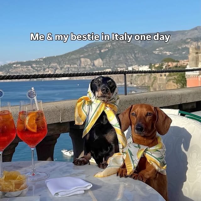  ......sfervor   'recent posts' 