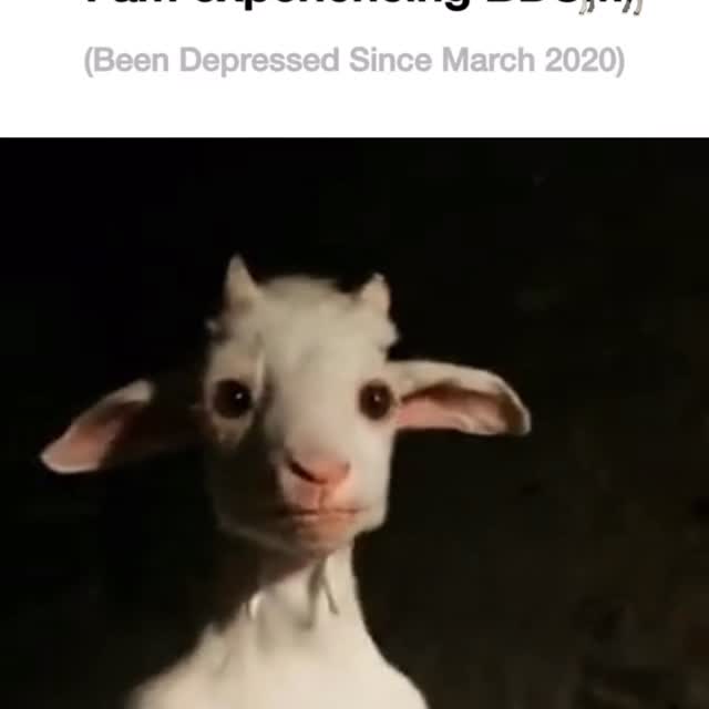  .......elknows   'recent posts' 