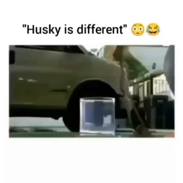  ......alking   'recent posts' 