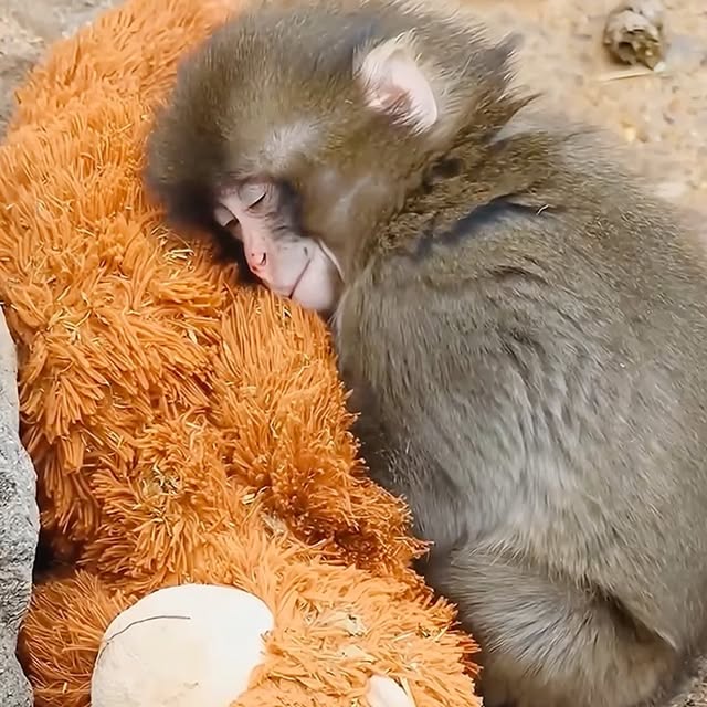  ........malsgram   'recent posts' 