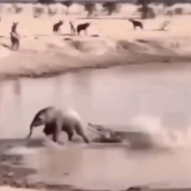  .....memes   'recent posts' 