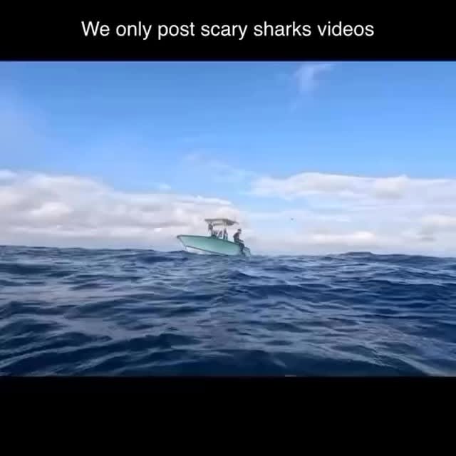  .........arkattacks   'recent posts' 