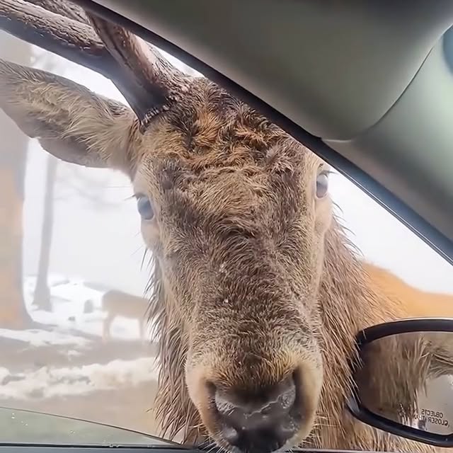  ...urre   'recent posts' 