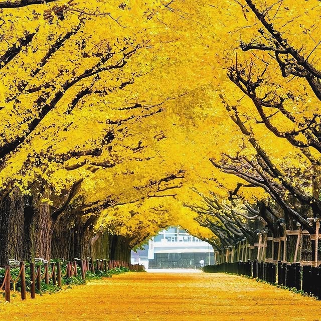  .....xplore   'recent posts' 