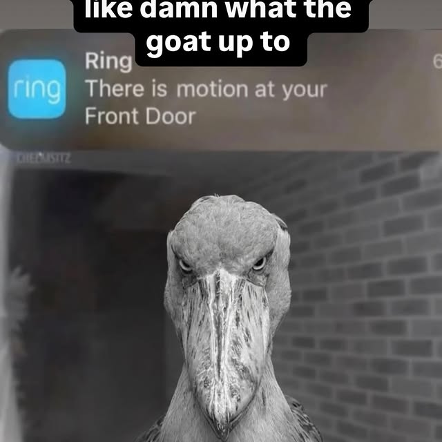  ..........rdoftheday   'recent posts' 