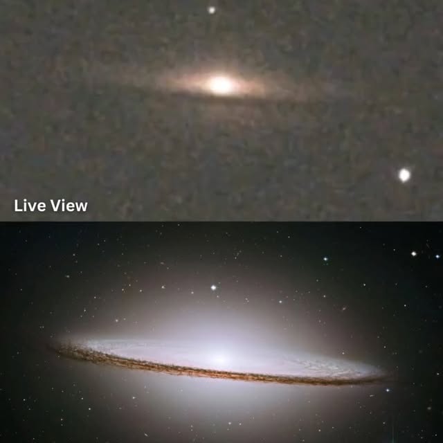  ......seviewz   'recent posts' 