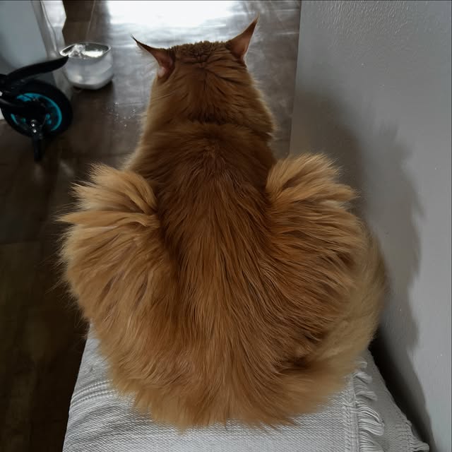  ......adamus   'recent posts' 