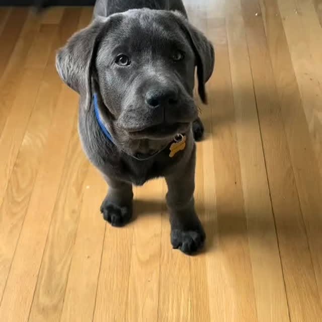  ....ofk9   'recent posts' 