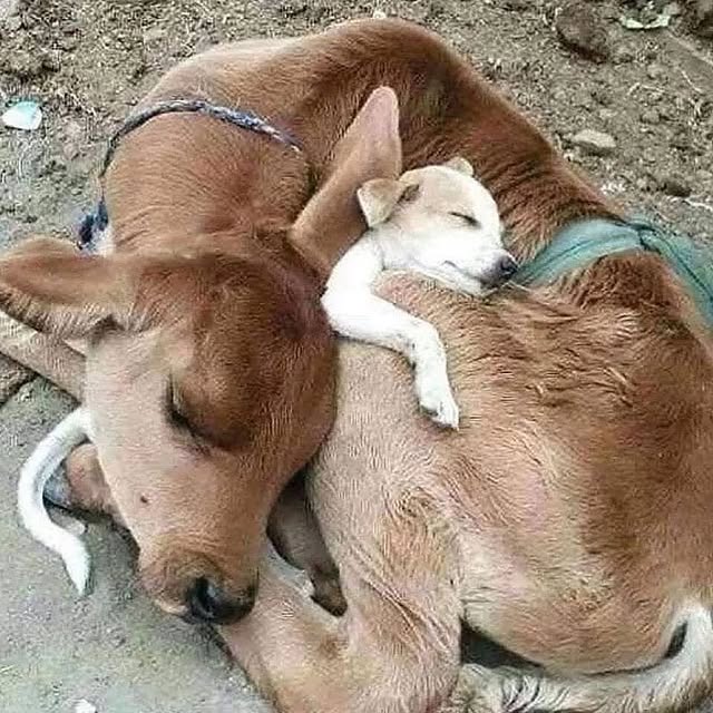  ......estige   'recent posts' 