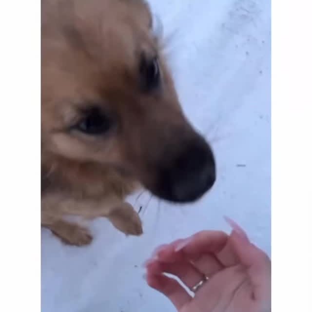  ......ogscute   'recent posts' 