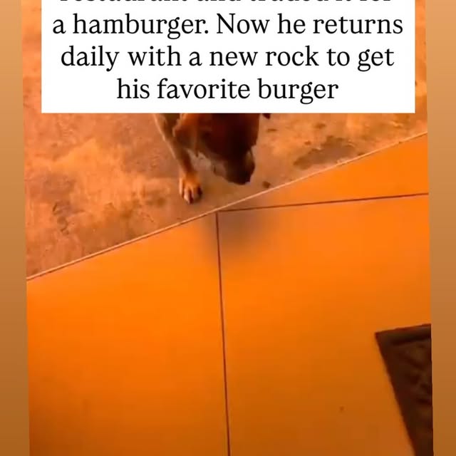  ....s.acc   'recent posts' 