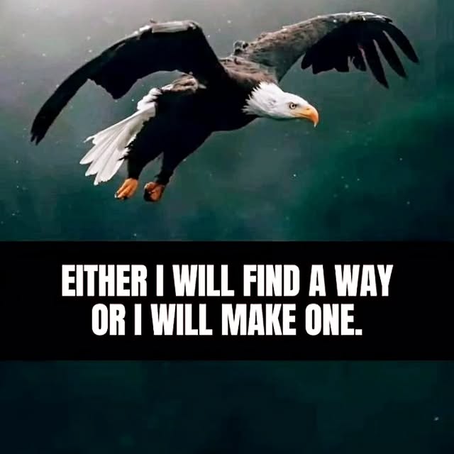  .....essity   'recent posts' 